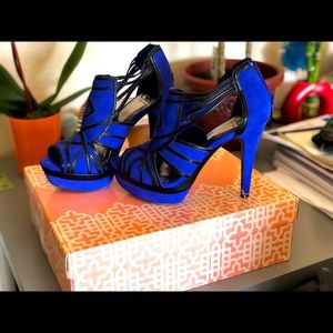 Gianni Bini, Royal Blue!!!